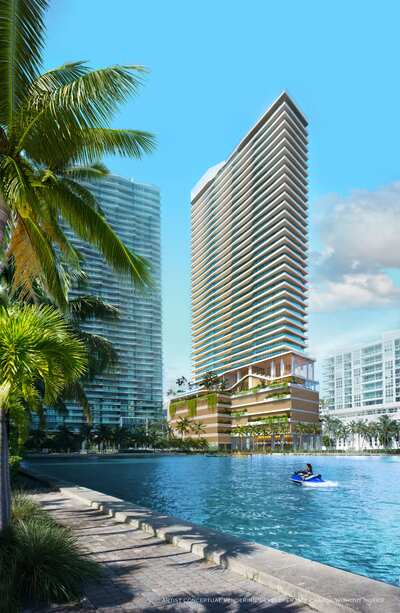 Cove Miami